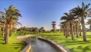 أفضل المناطق للعائلات من حيث المدارس والعيادات والخدمات 5 أفضل المناطق للعائلات من حيث المدارس والعيادات والخدمات