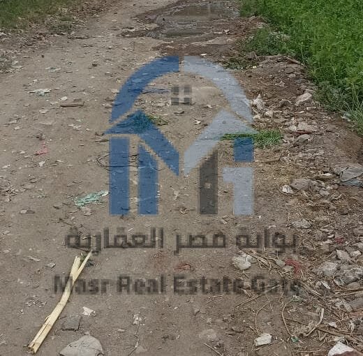 أرض مميزة للبيع بقرية بهدل – محافظة المنيا