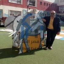 Ahmed Fathy