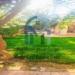 فيلا للإيجار بمدينتي نموذج Z توين هاوس
