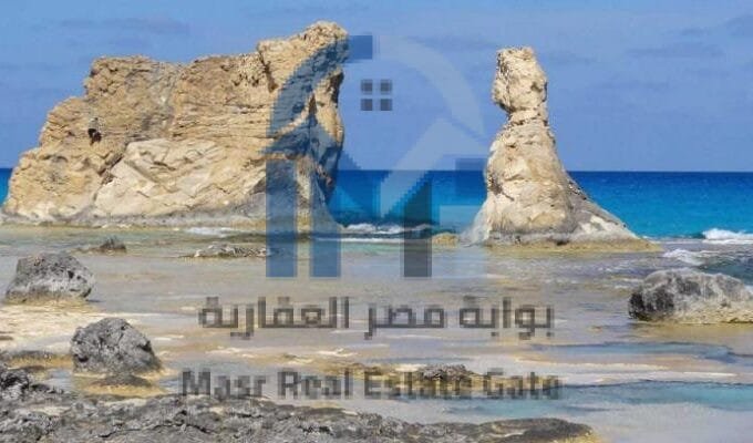 شقة مفروشة للإيجار السنوي – عماير باتا